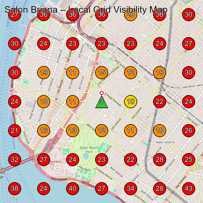 Salon Briana GeoGrid visibility map for Beauty Salon in Brooklyn